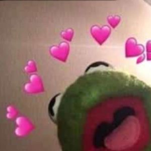 Meet your Posher, Kermit the